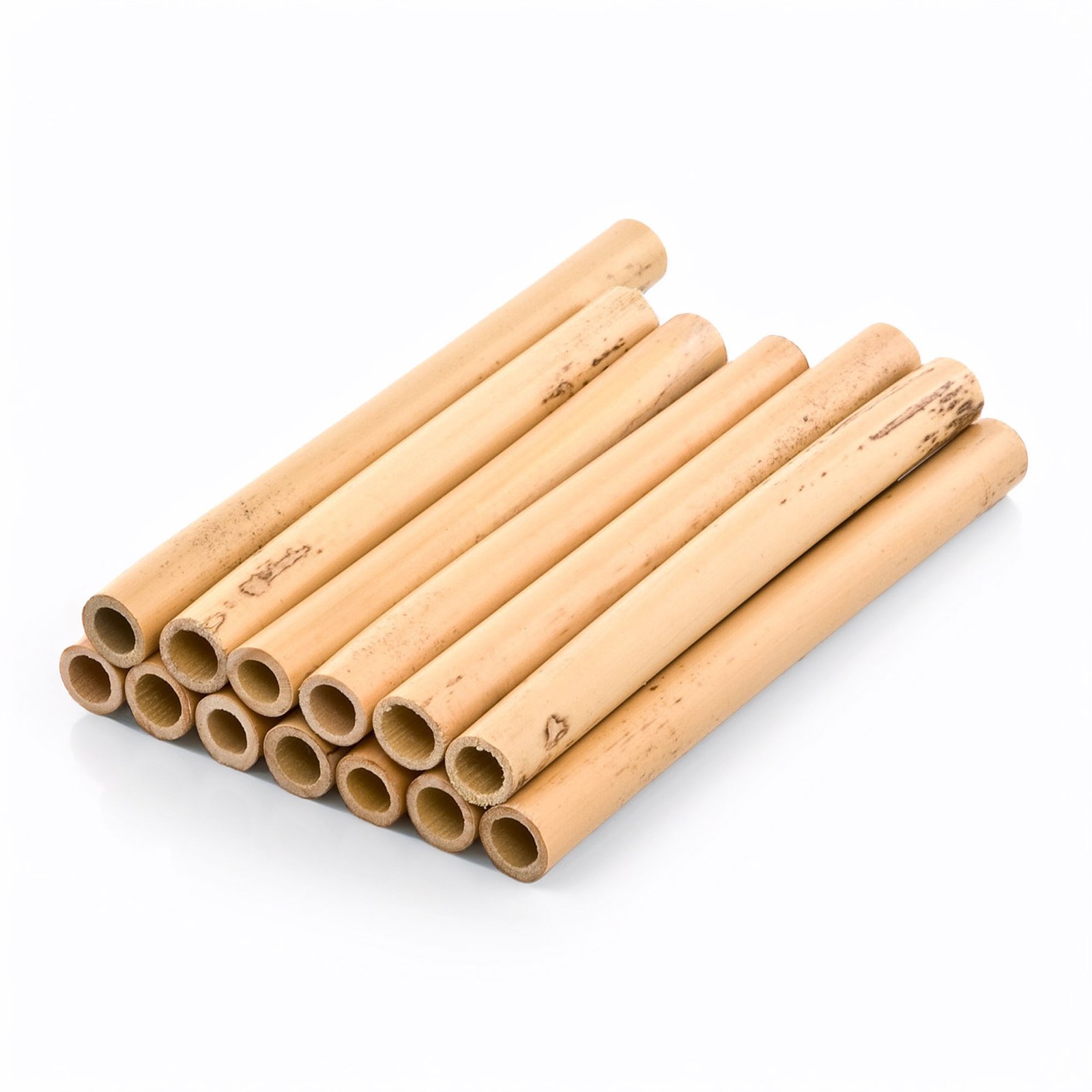 Caña Oboe en Tubo (1 pza.)